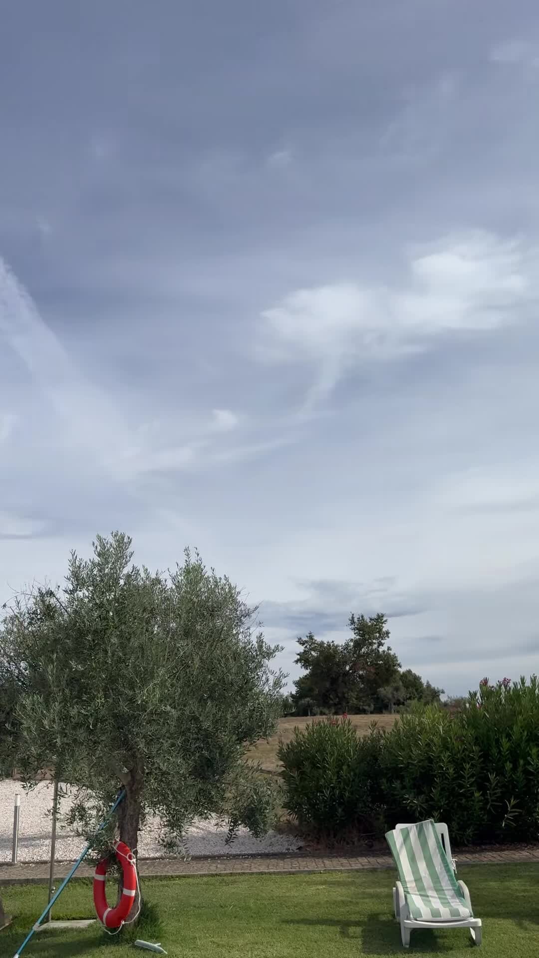 فيديو المنشأة الفندقية