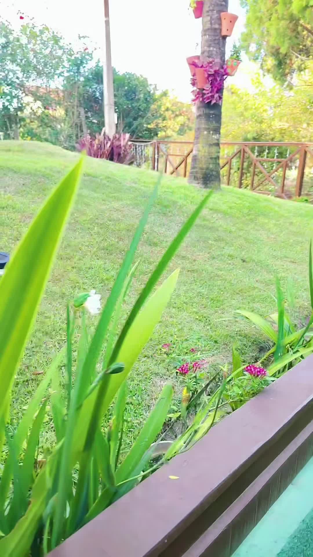 Vidéo de l’hébergement