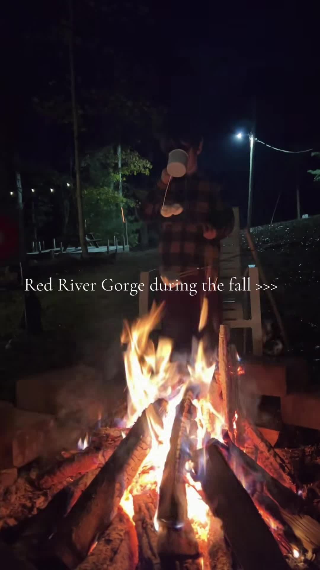 Video van accommodatie