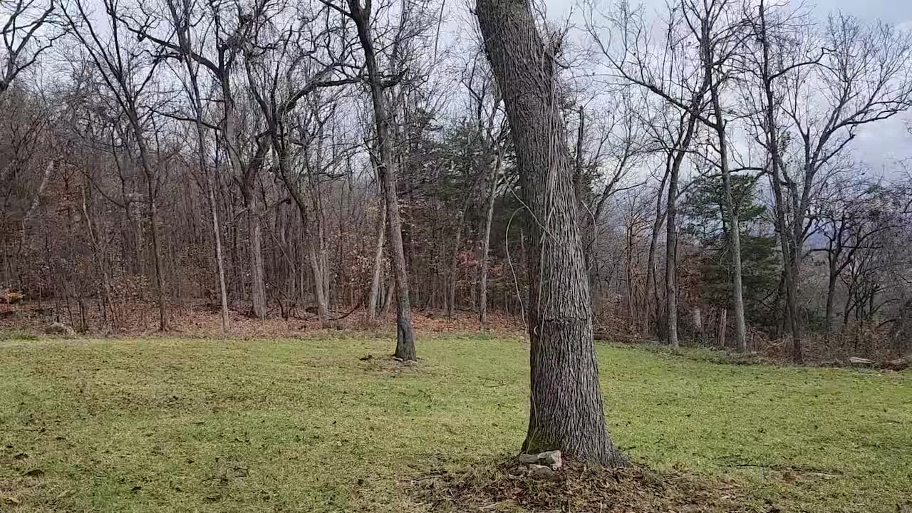 Vidéo de l’hébergement