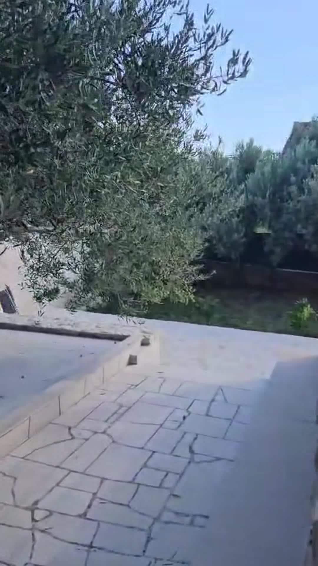 Video der Unterkunft