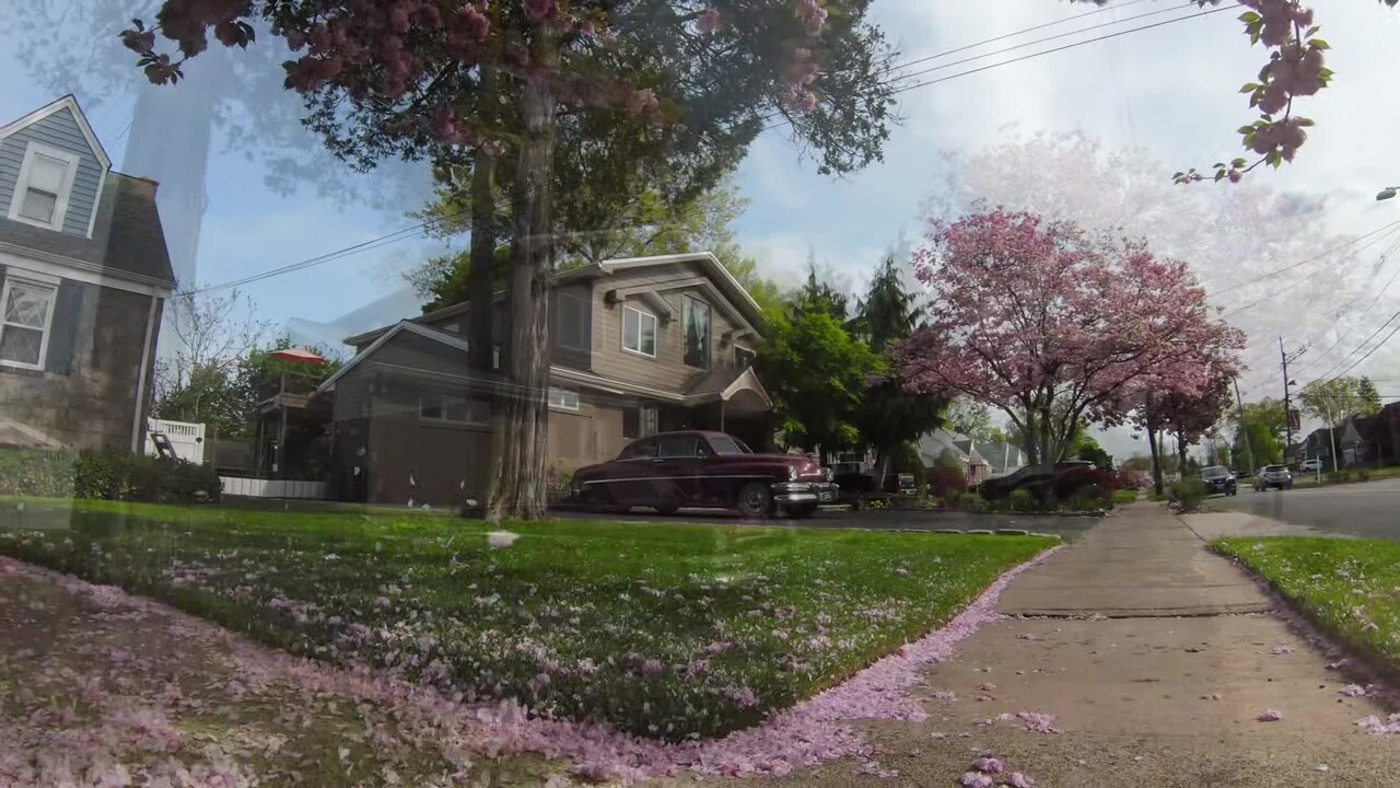 Property video