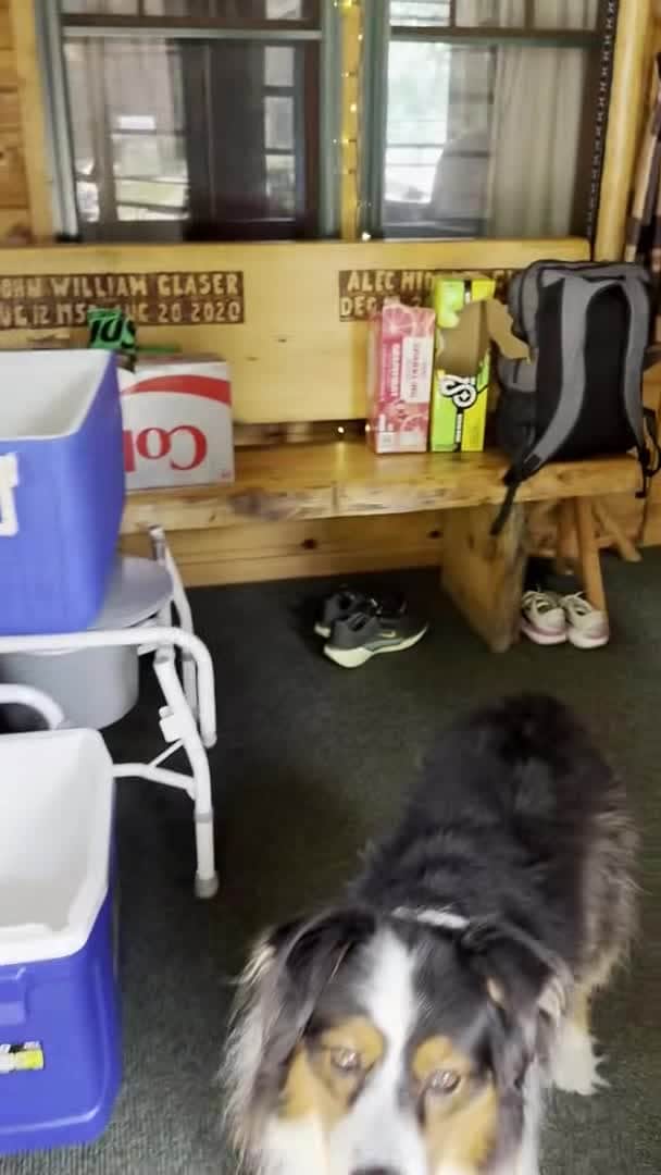 Video realizado por la propiedad