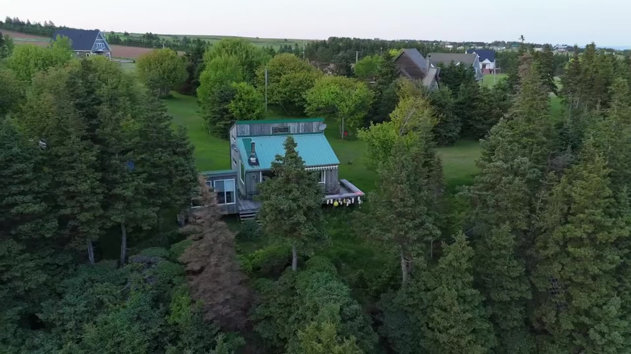 Property video