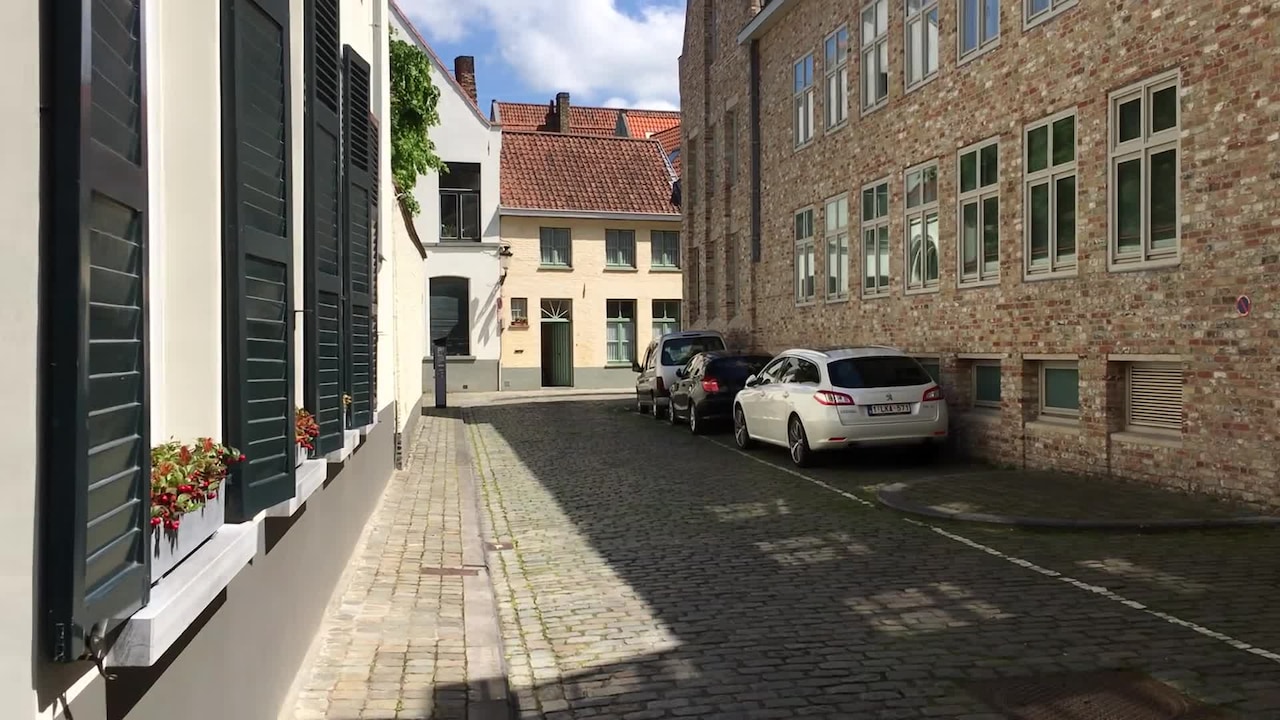 Video realizado por la propiedad