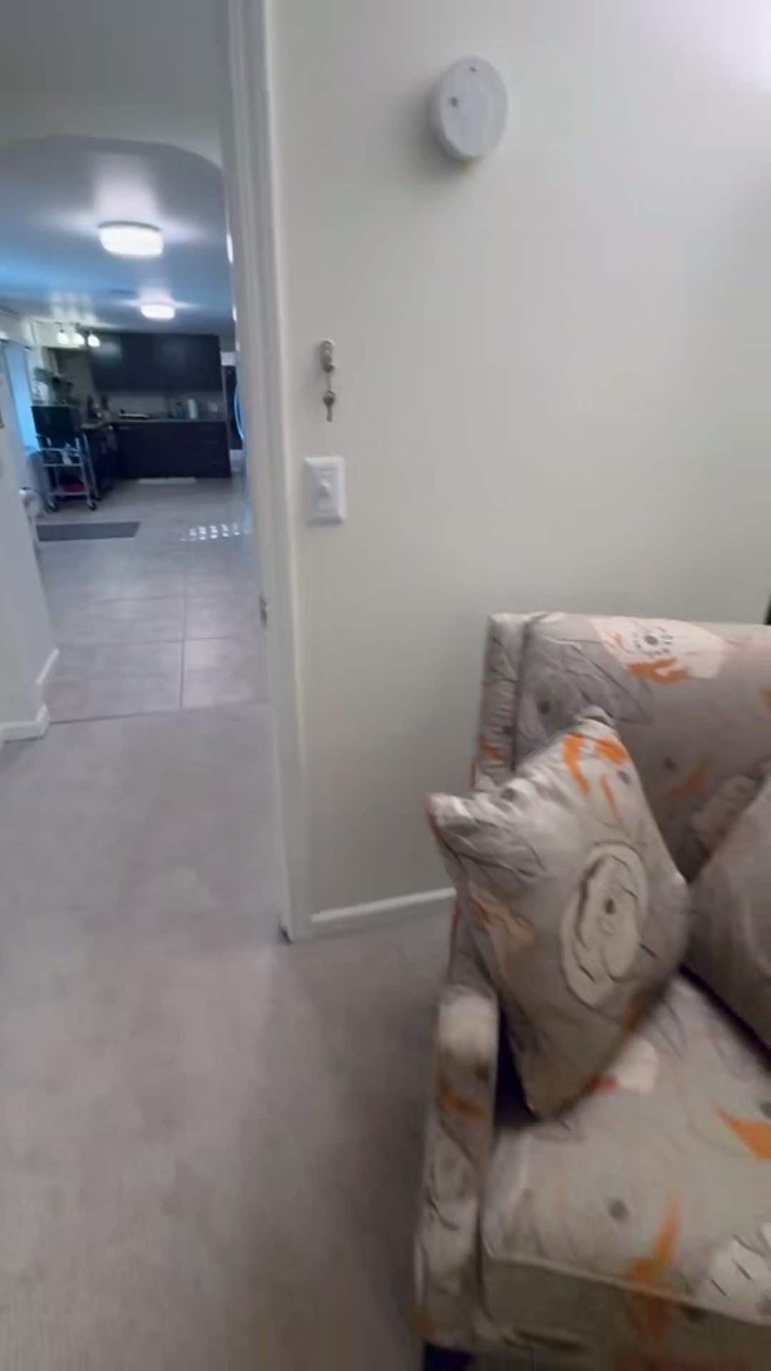 VidĂ©o de lâhĂ©bergement