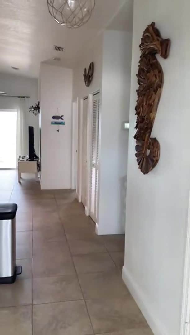 Property video