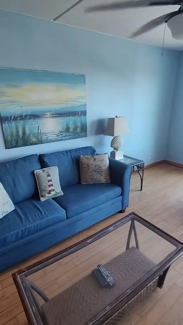Property video