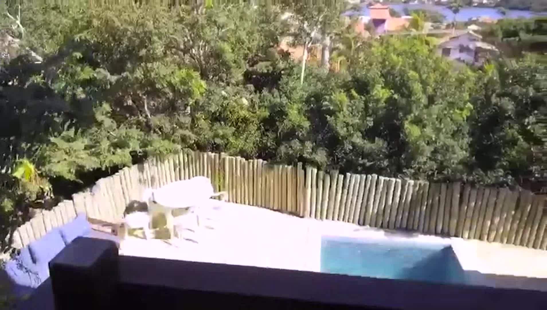 Property video