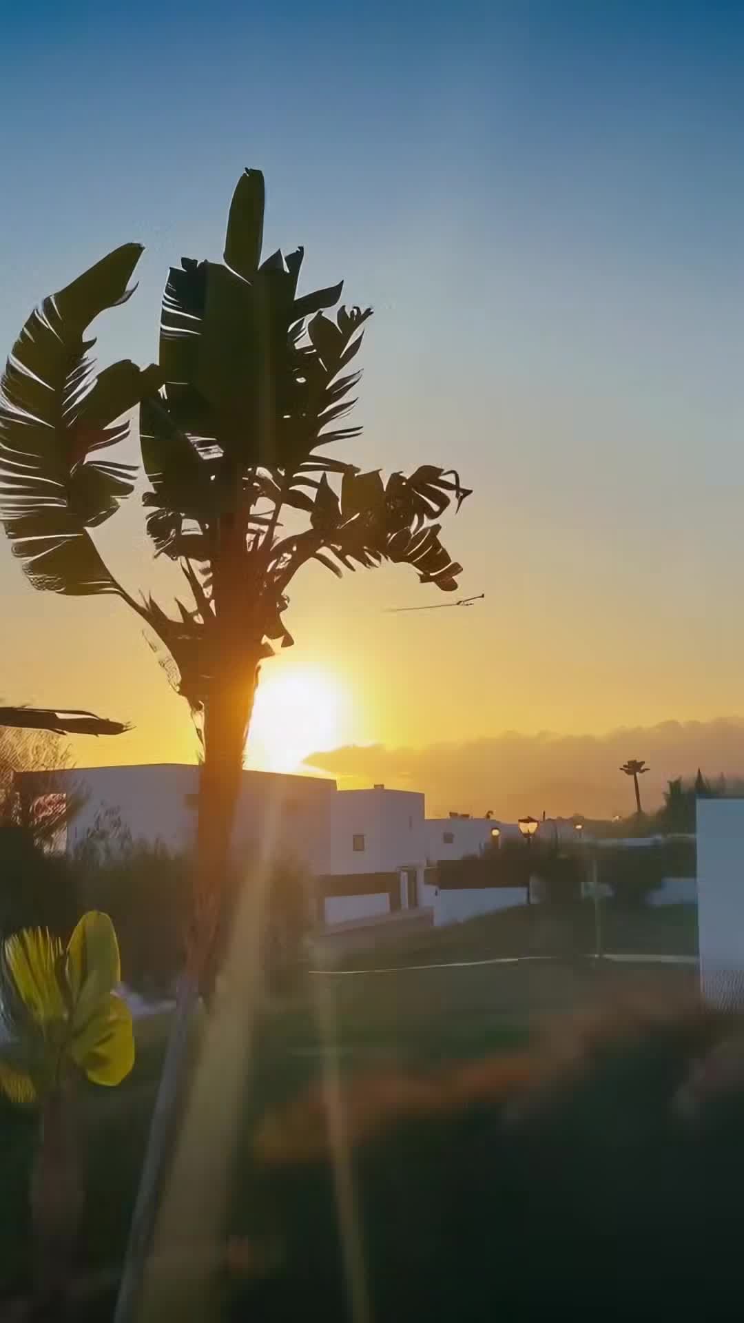 Vidéo de l’hébergement