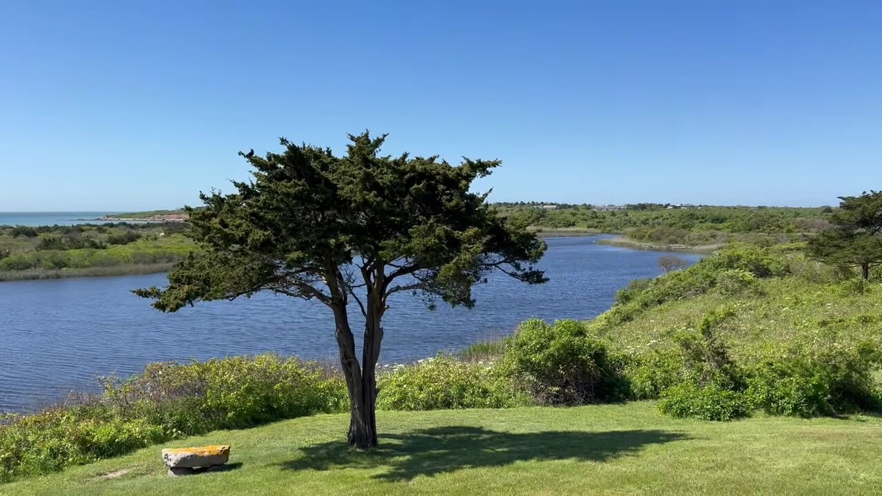 Property video