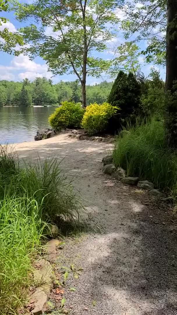 Property video