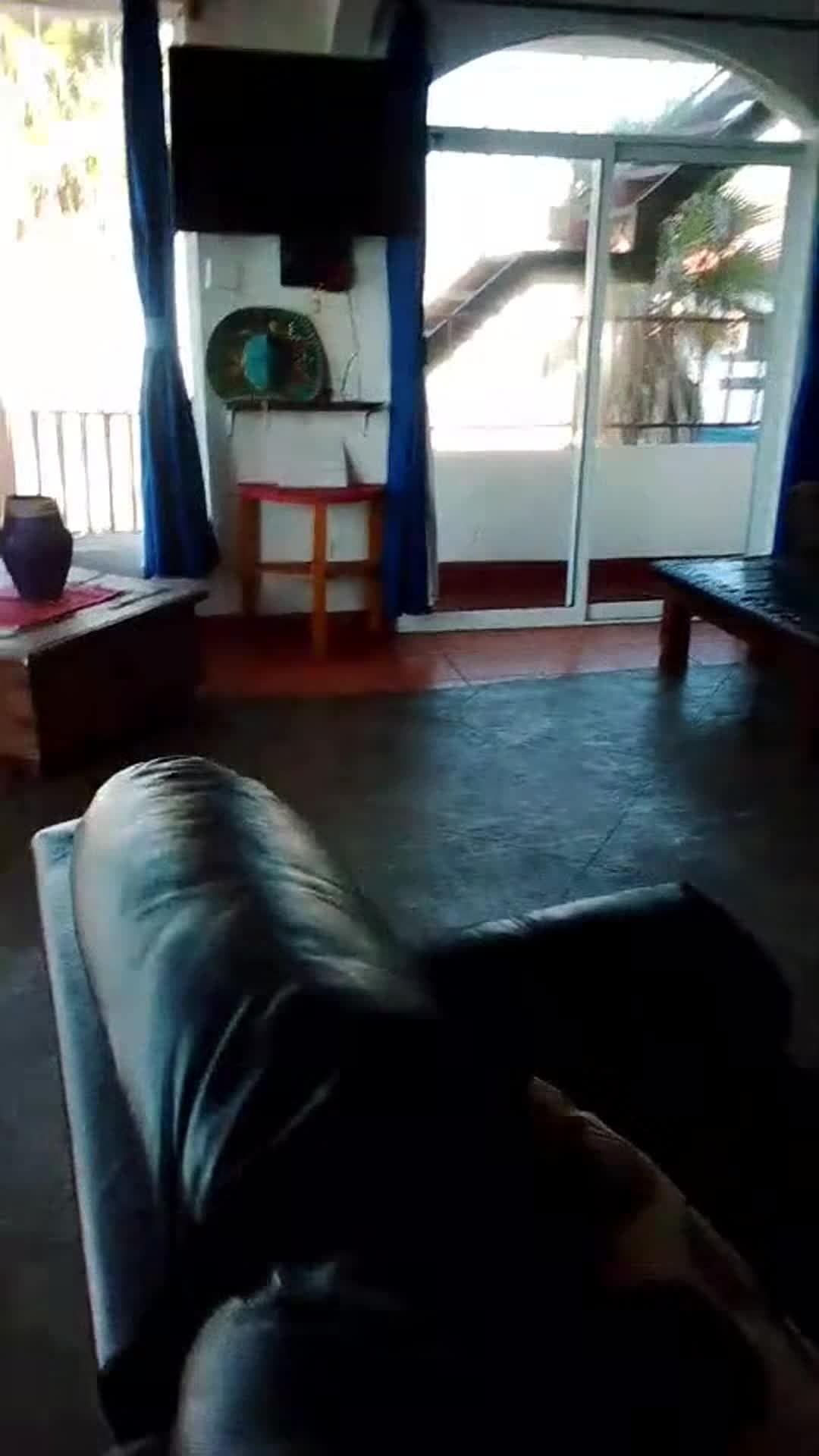 Majoituspaikan video