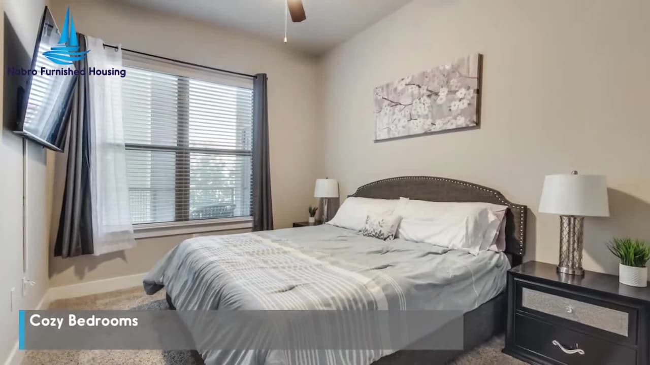 Property video
