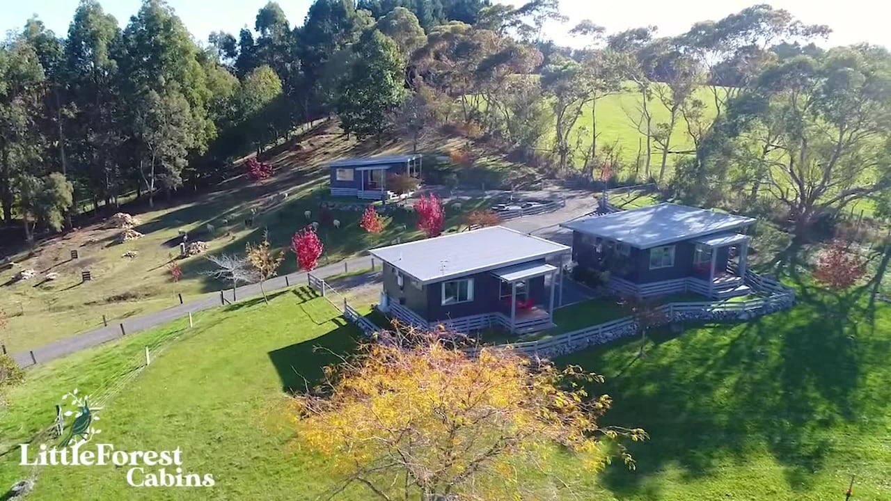 Property video