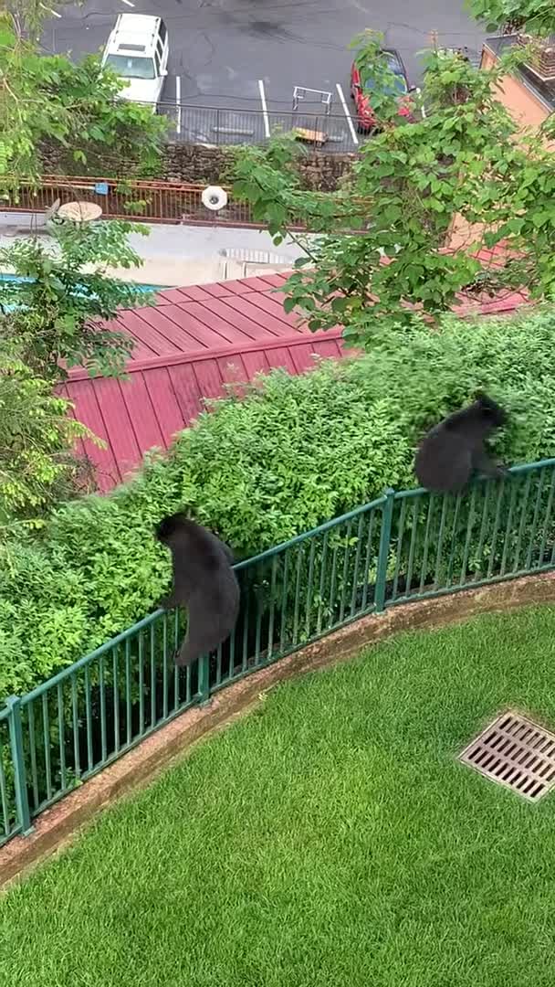 住宿方视频
