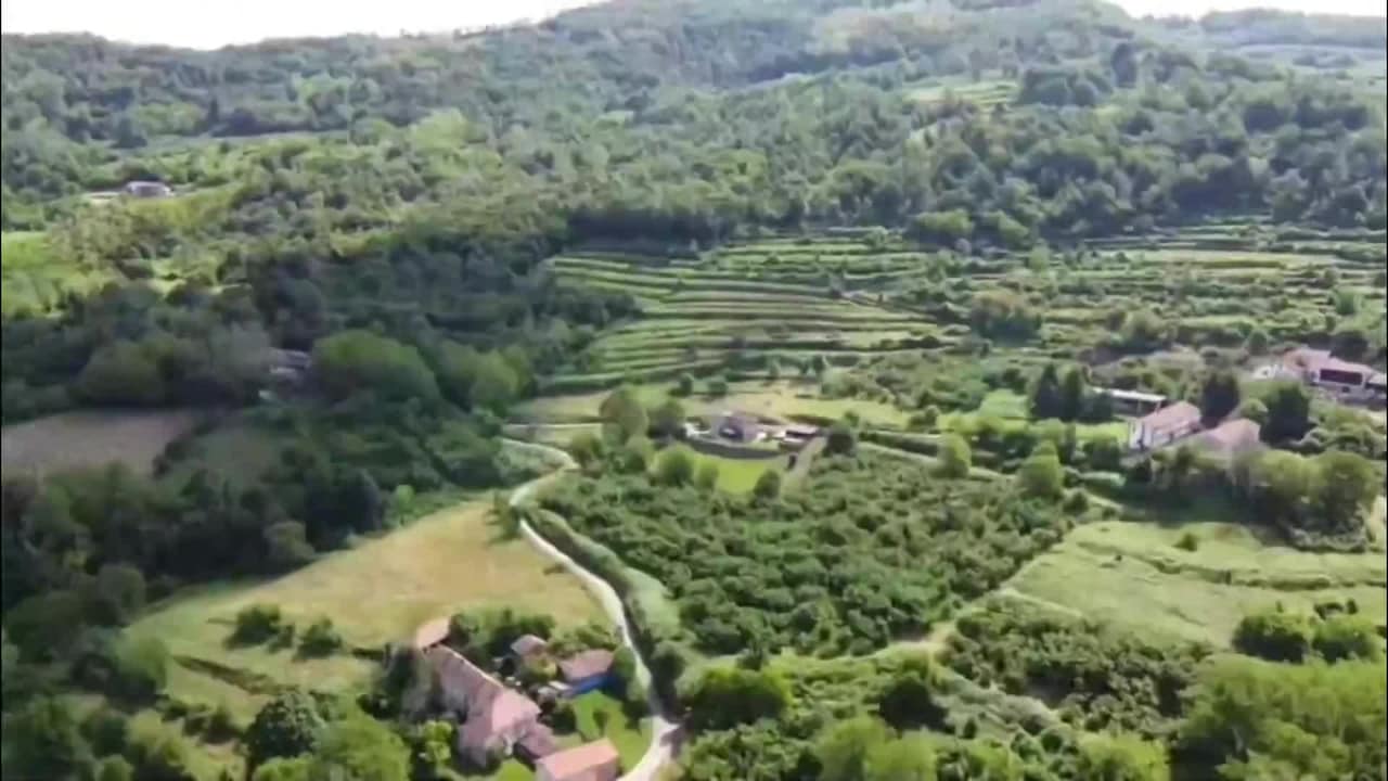 Property video