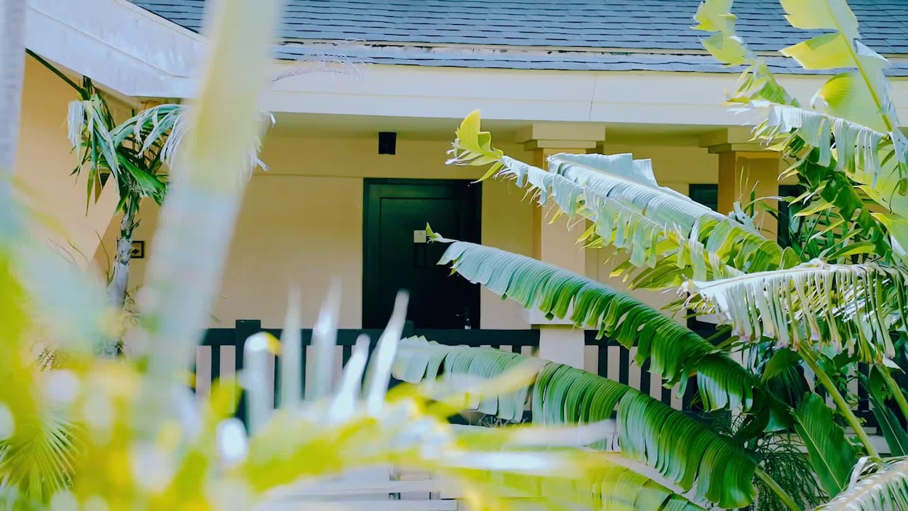 Property video