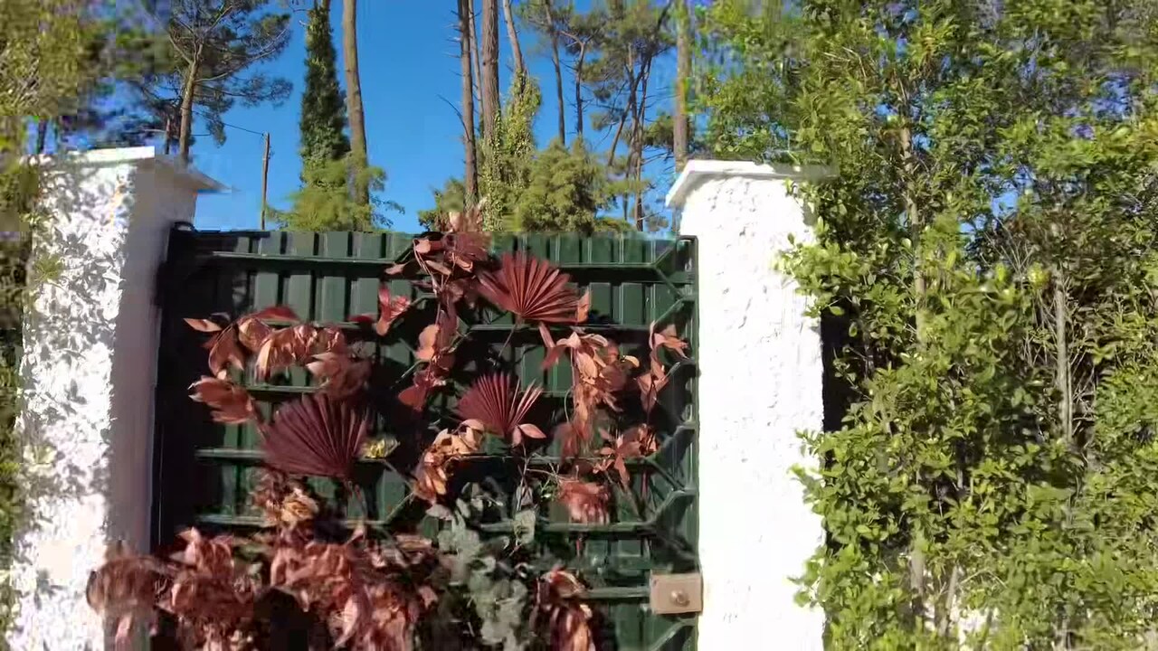 فيديو المنشأة الفندقية