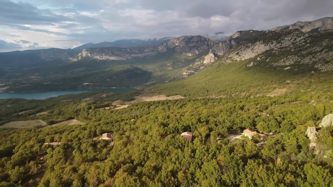Property video