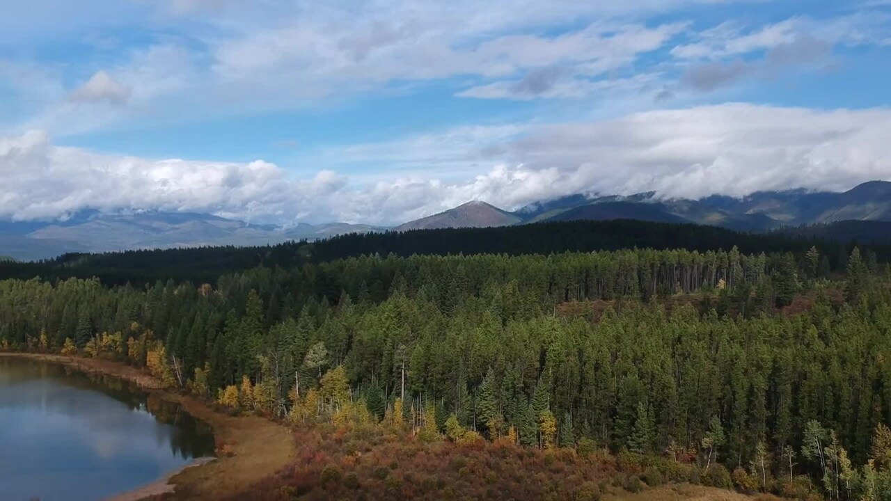 Majoituspaikan video