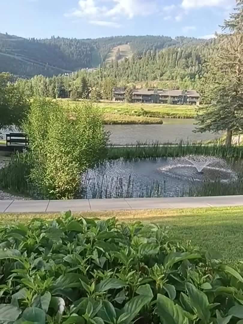 Vidéo de l’hébergement