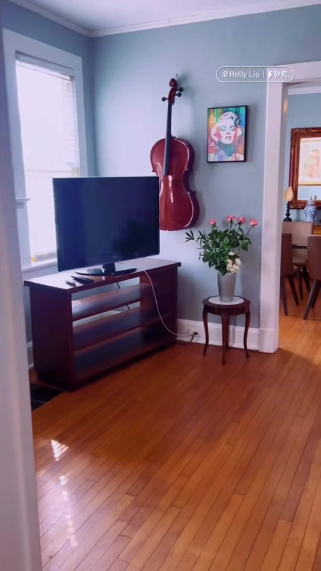 Property video