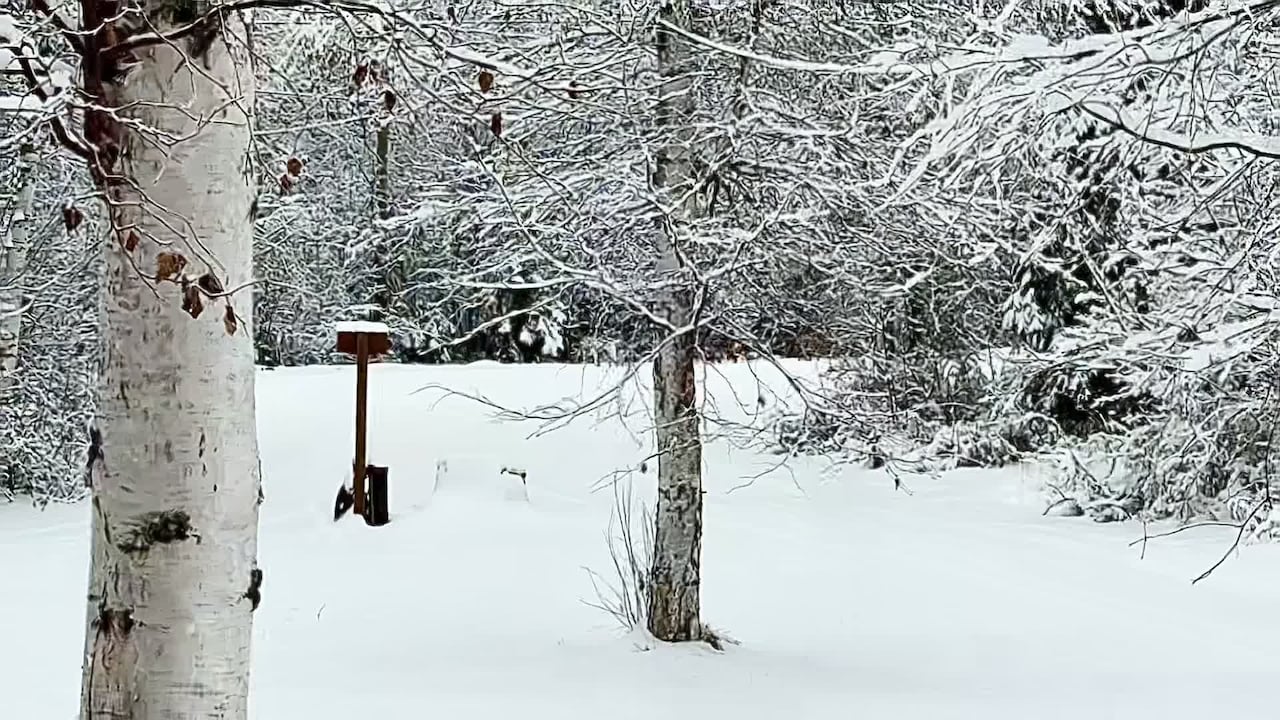 Video van accommodatie