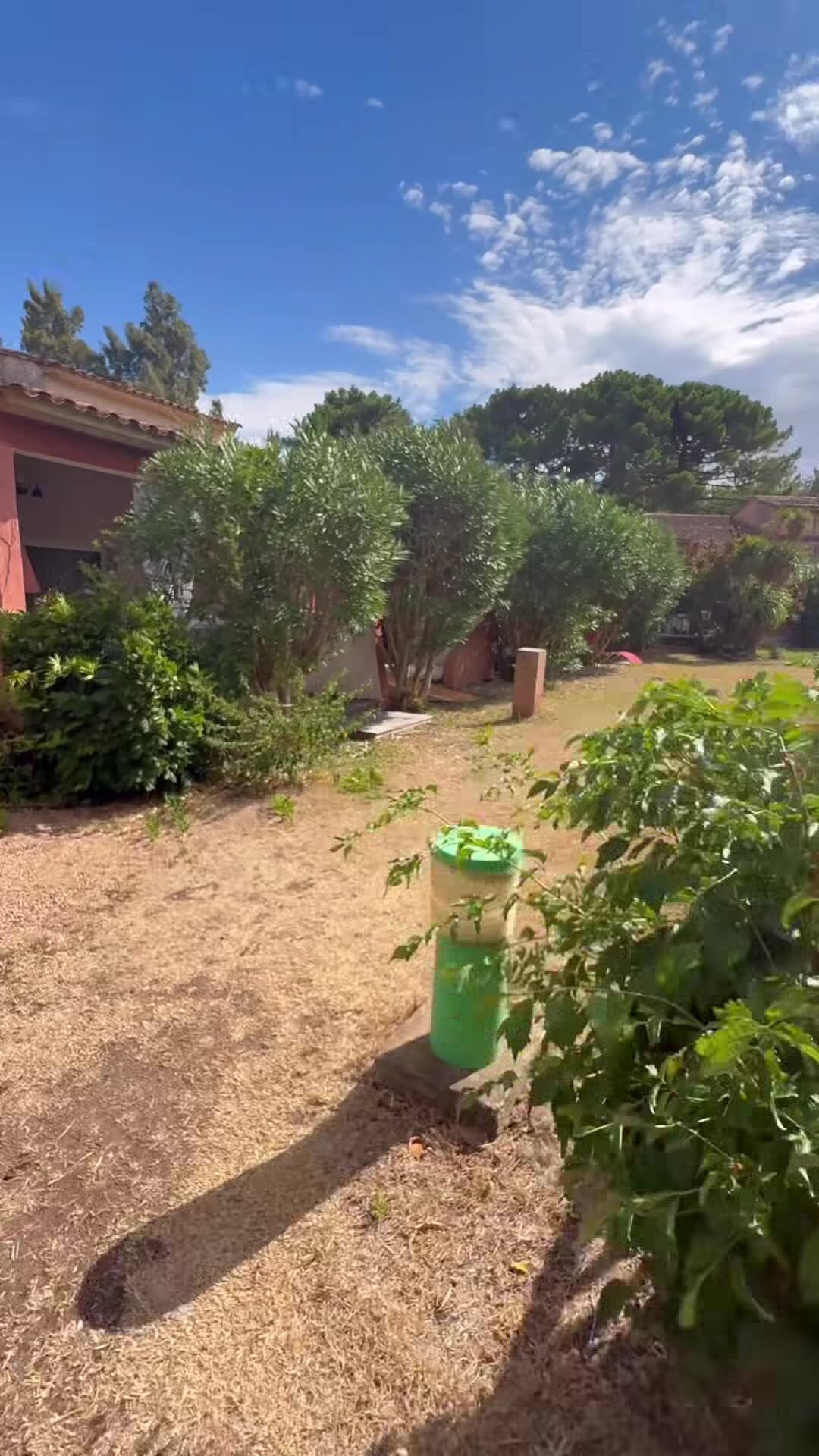 Property video