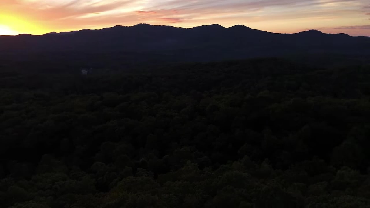 فيديو المنشأة الفندقية