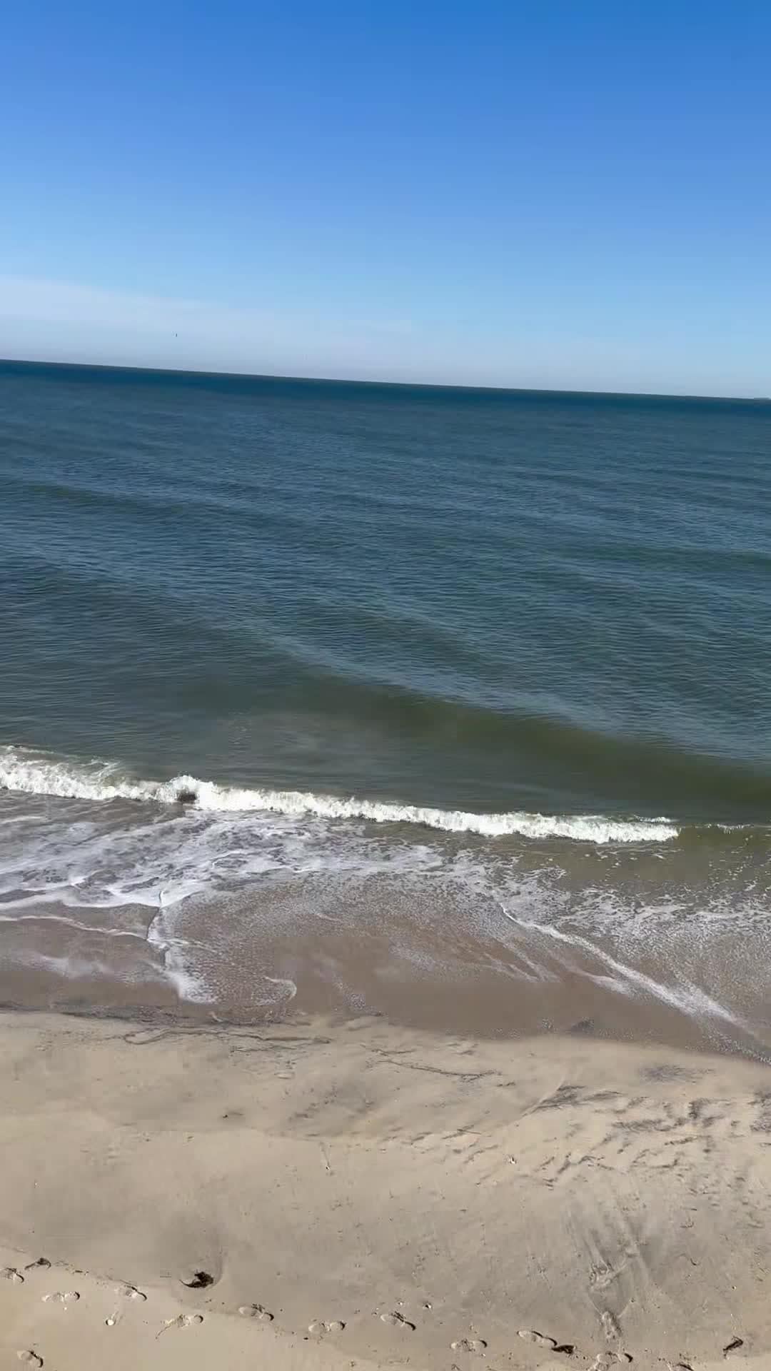 Video realizado por la propiedad