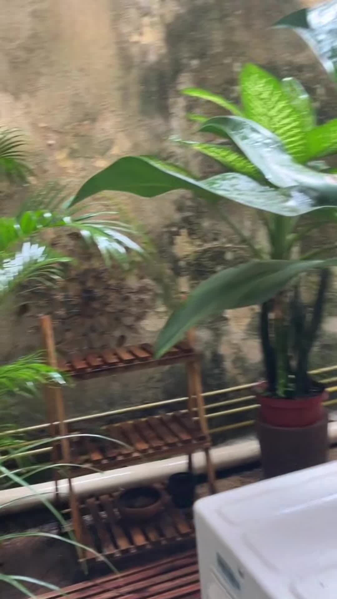 Majoituspaikan video