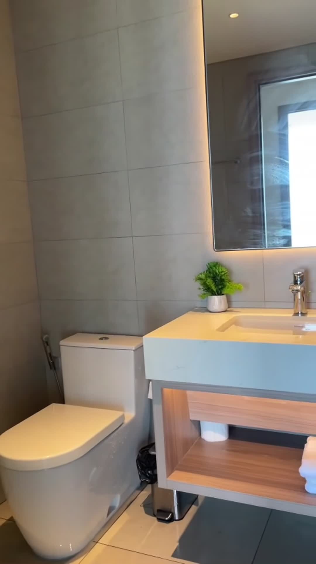 Video realizado por la propiedad