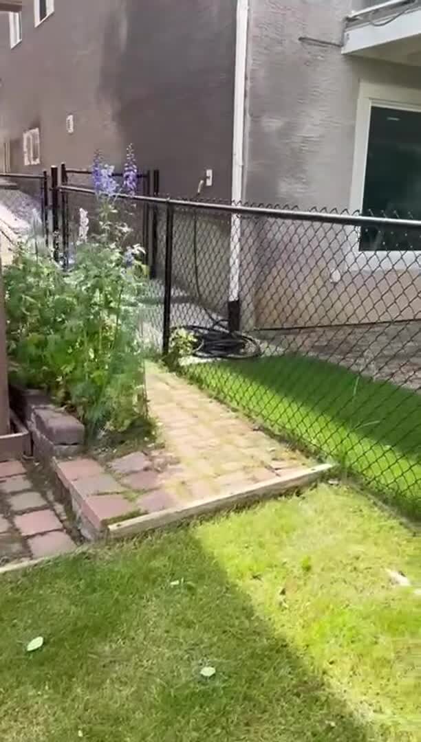 Property video
