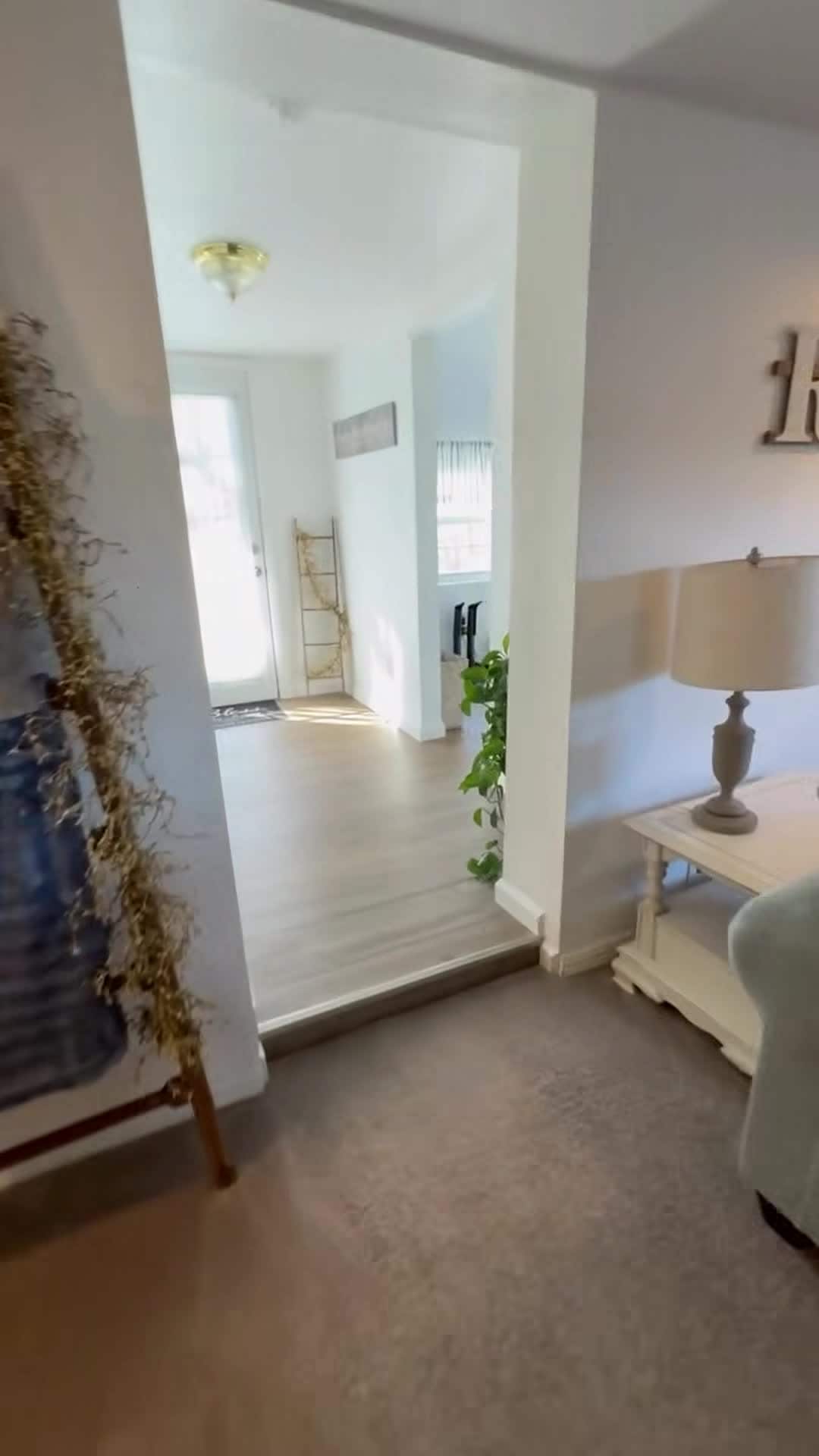 Property video