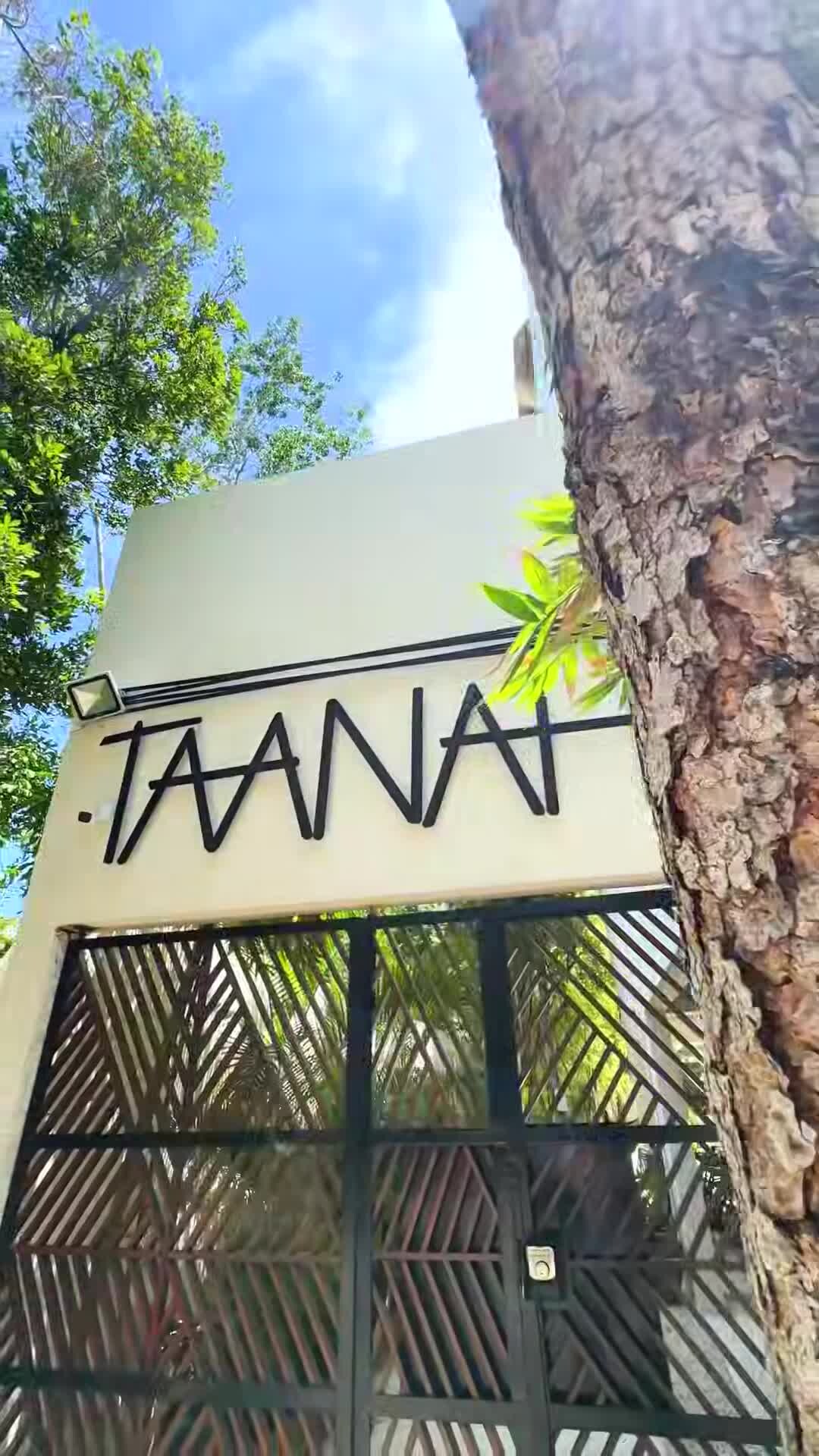Property video