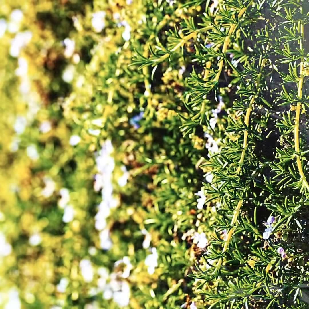 Video der Unterkunft