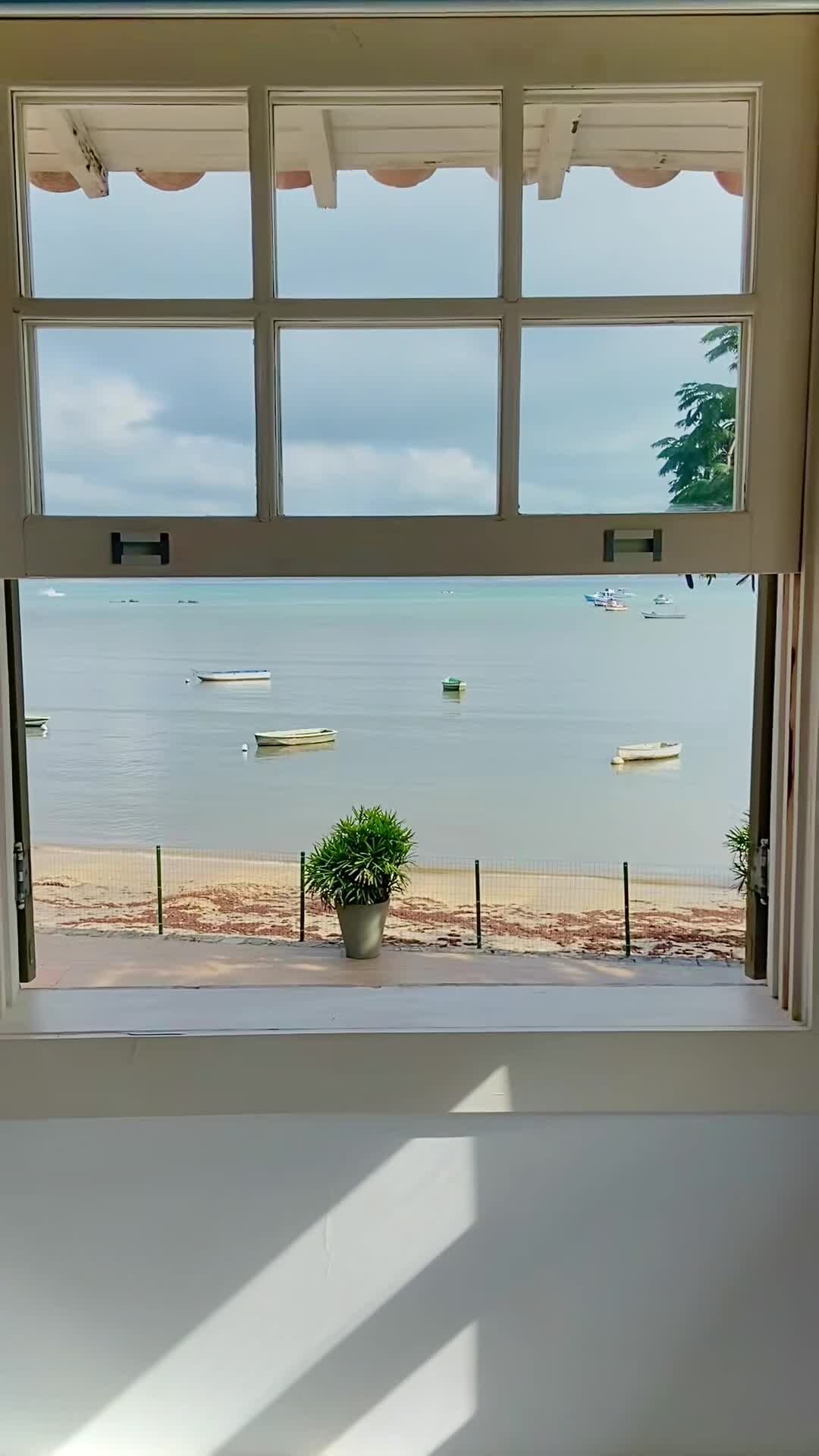 Property video