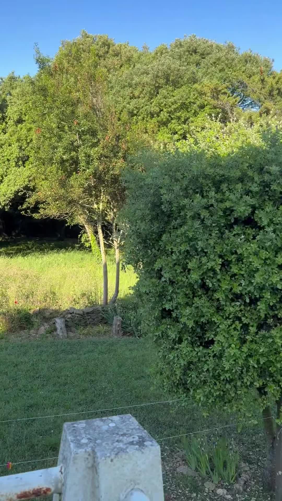VidĂ©o de lâhĂ©bergement