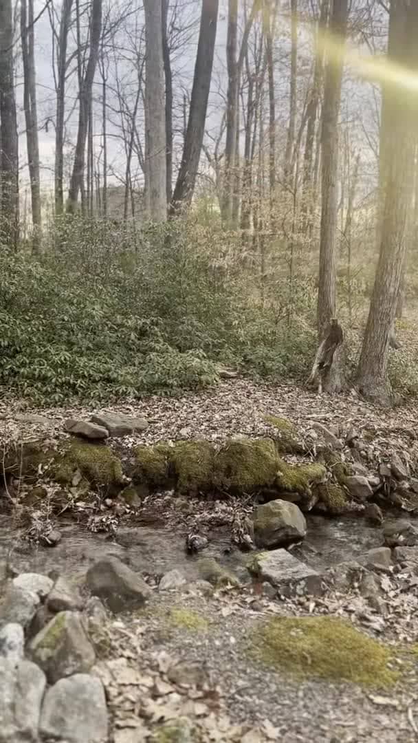 Video der Unterkunft