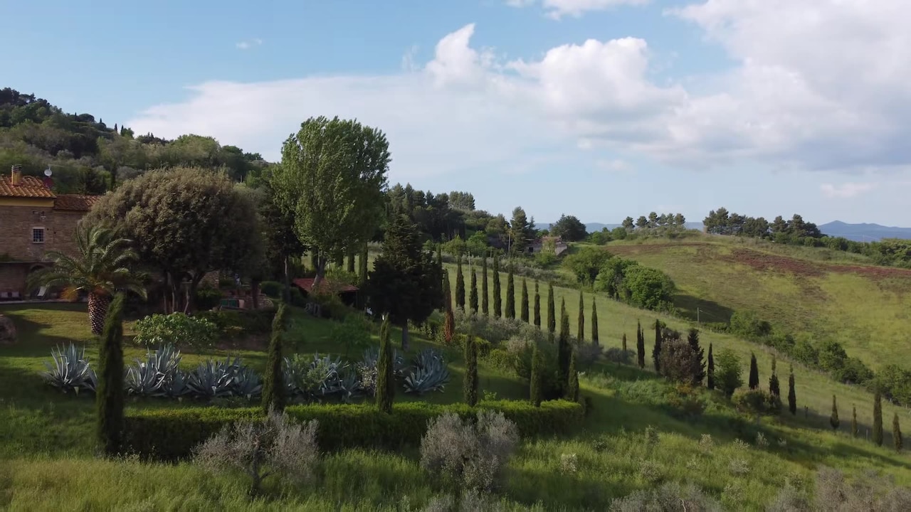 Property video
