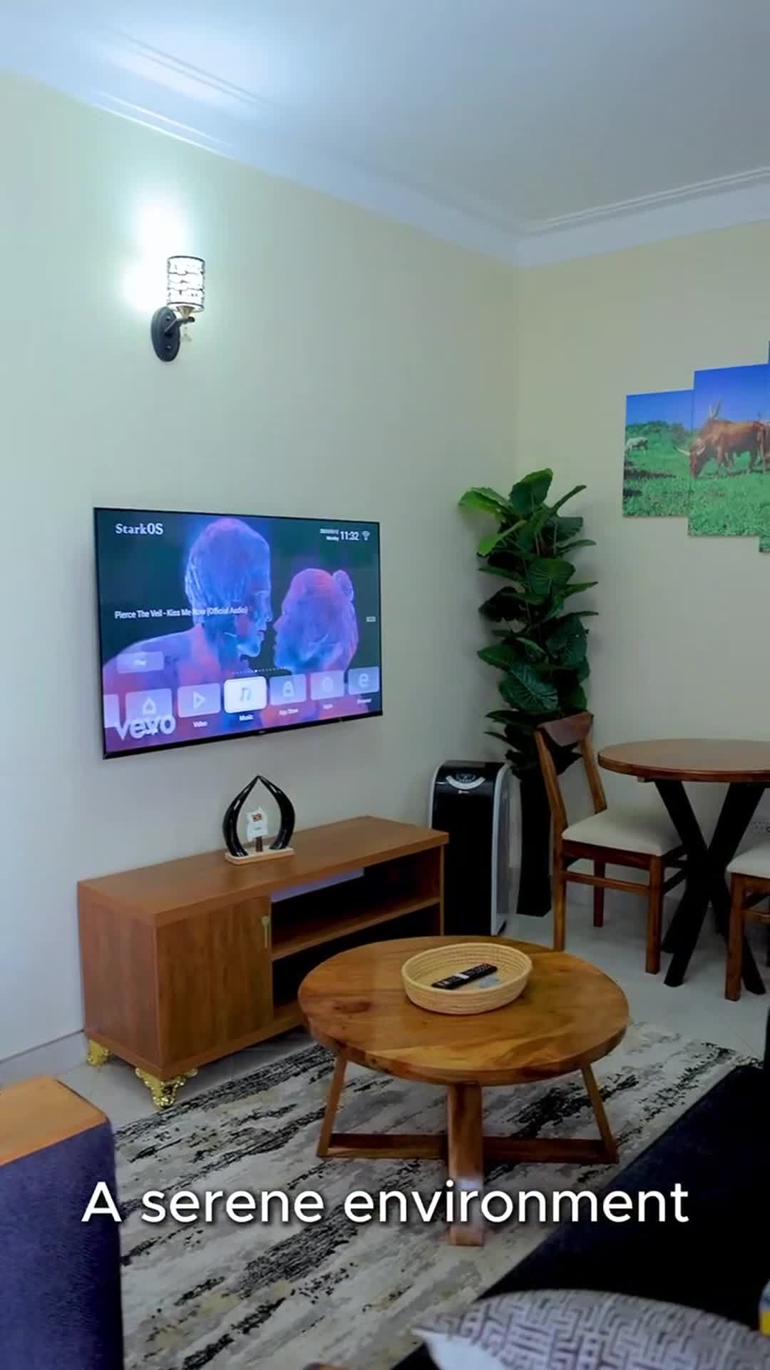 Property video
