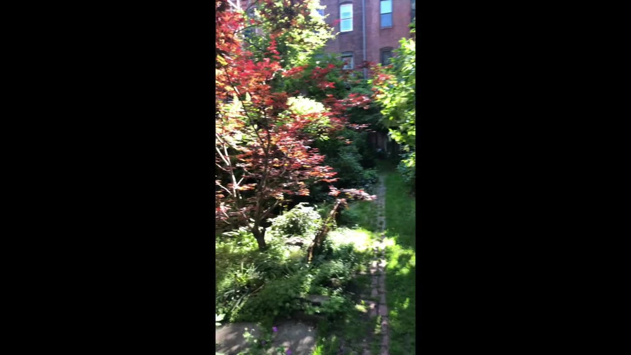 Property video