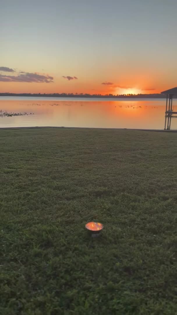 Video realizado por la propiedad