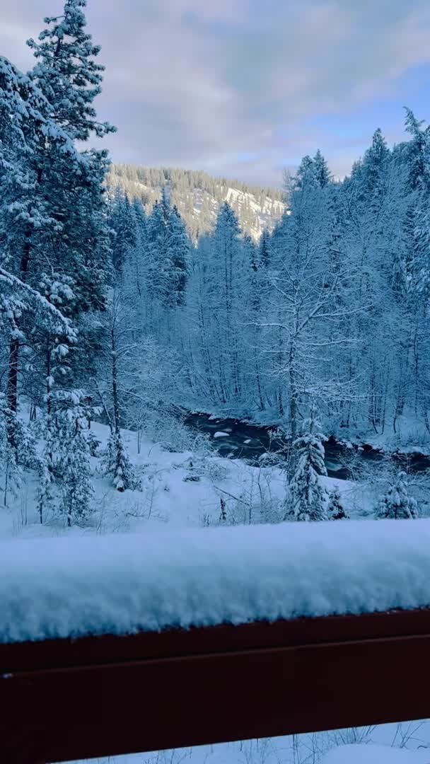 Video der Unterkunft