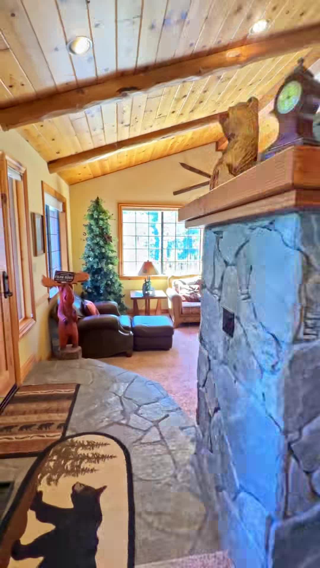 Property video