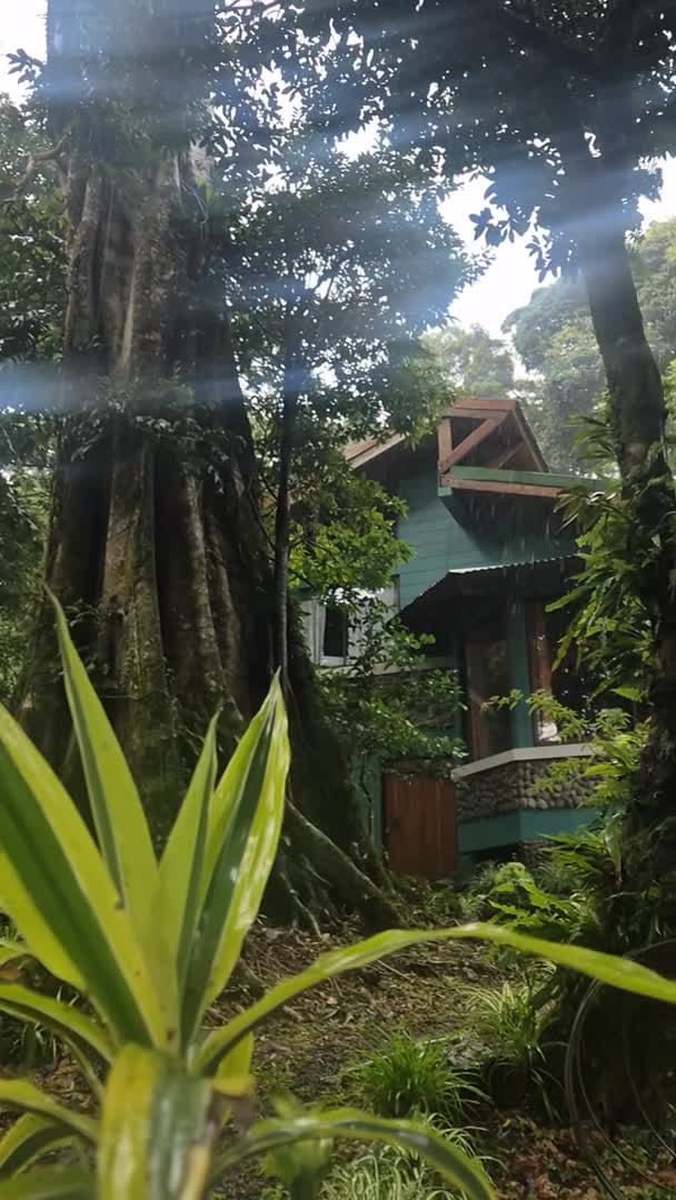 VidĂ©o de lâhĂ©bergement