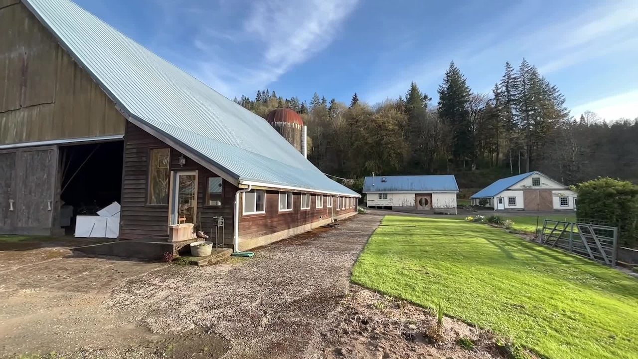 Property video