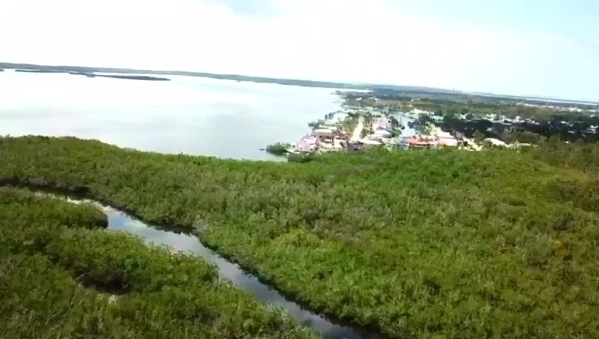 Property video