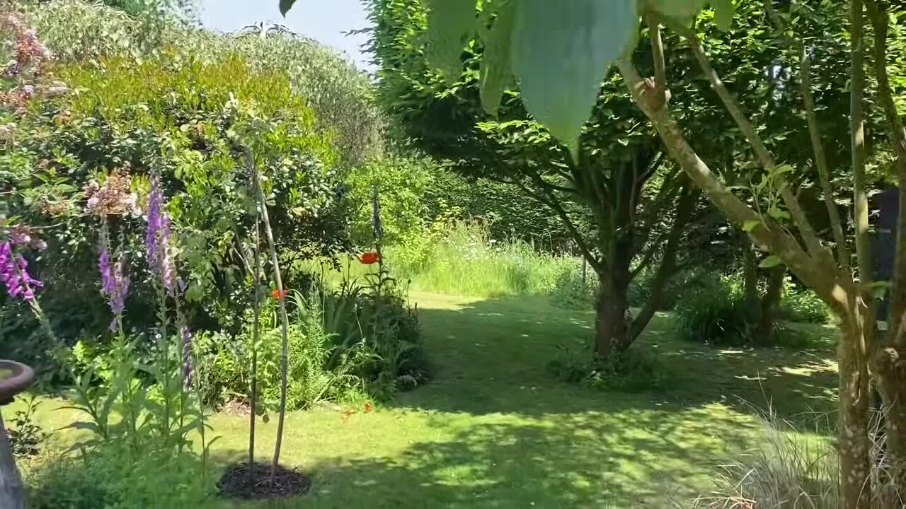 Property video